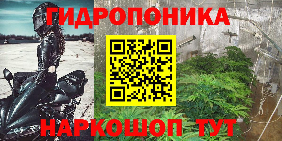 Бошки Шишки планчик  Вход с VPN  Салават  МАРИХУАНА Amnesia  Бошки марихуана SATIVA & INDICA  Бошки Шишки White Widow 